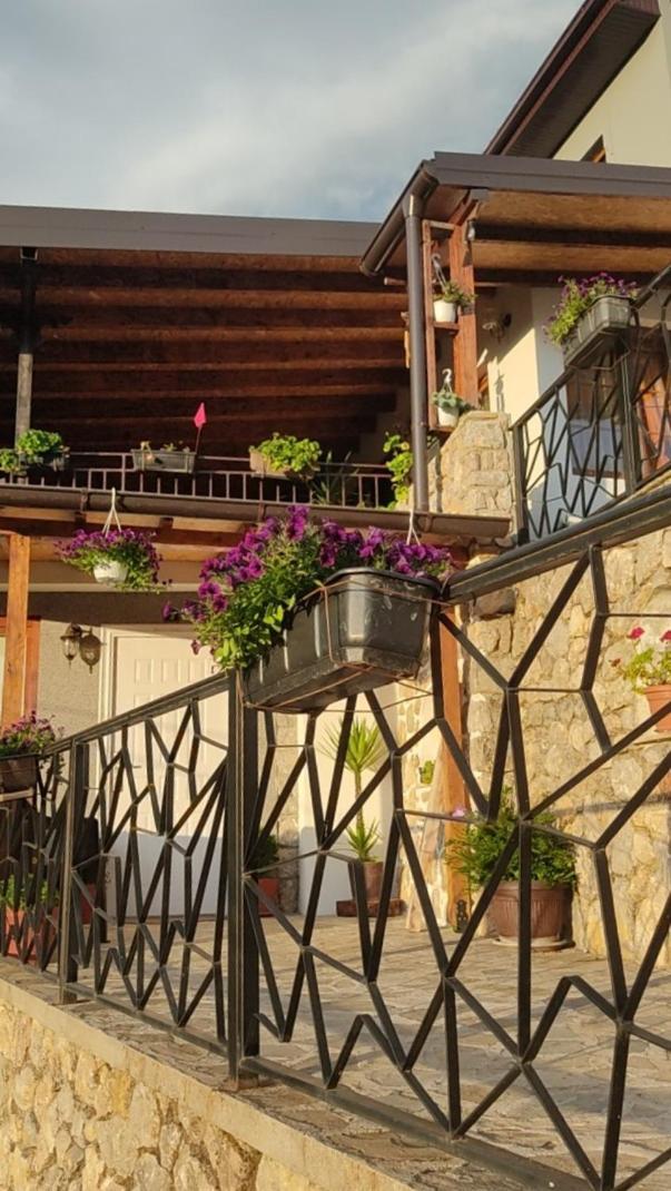 Guest House Stevovski Elshani Kültér fotó