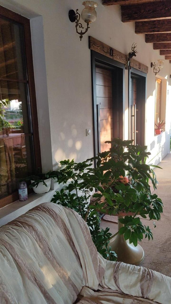 Guest House Stevovski Elshani Kültér fotó